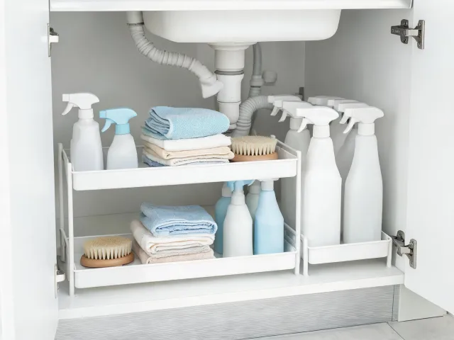 Under sink organizer